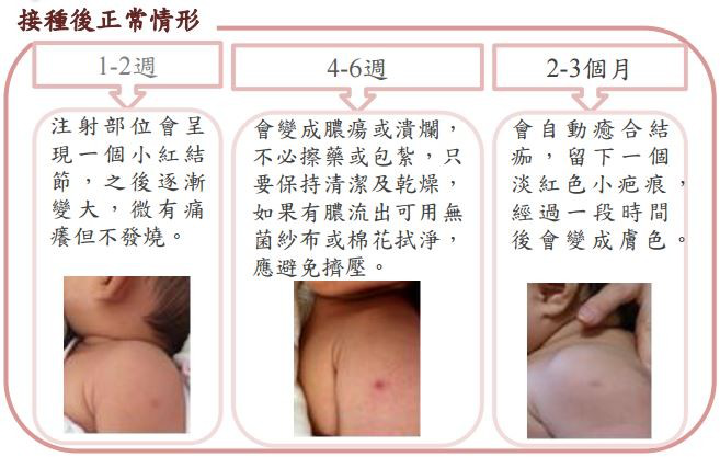 图片12.png